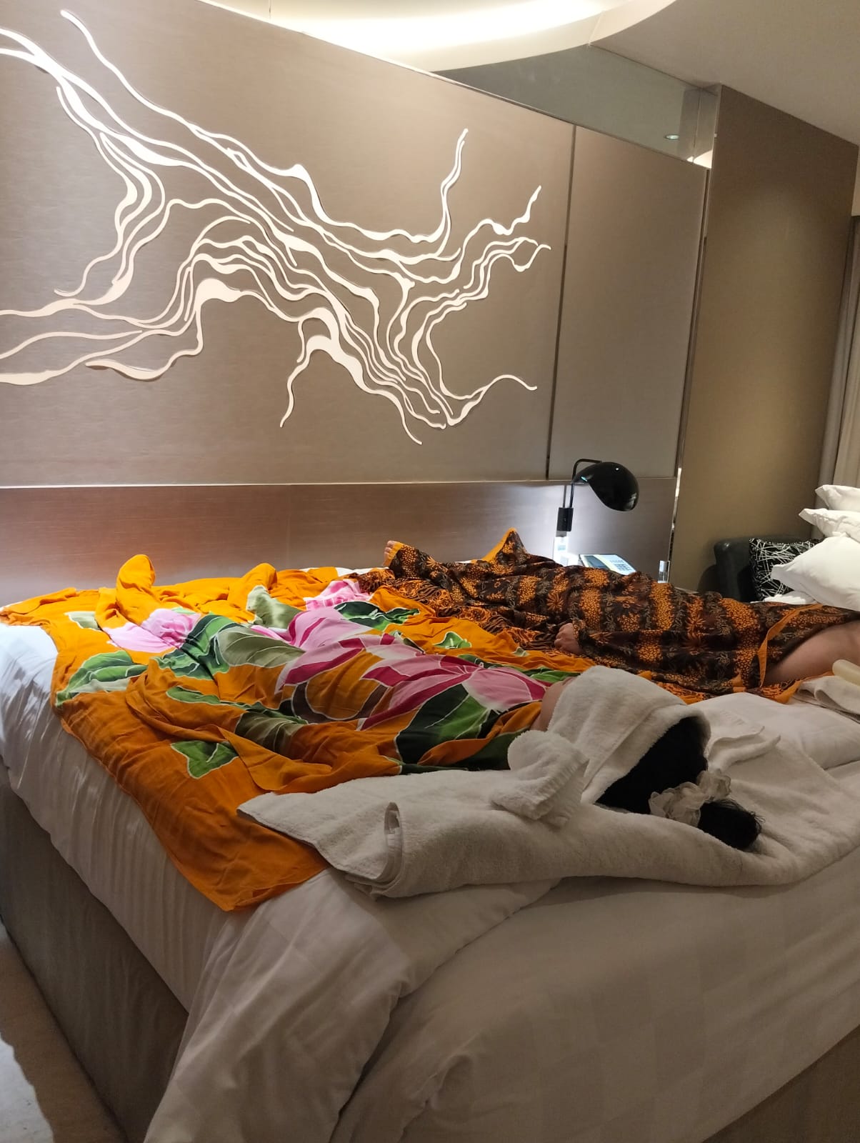 WhatsApp Image 2026-02-11 at 17.09.57